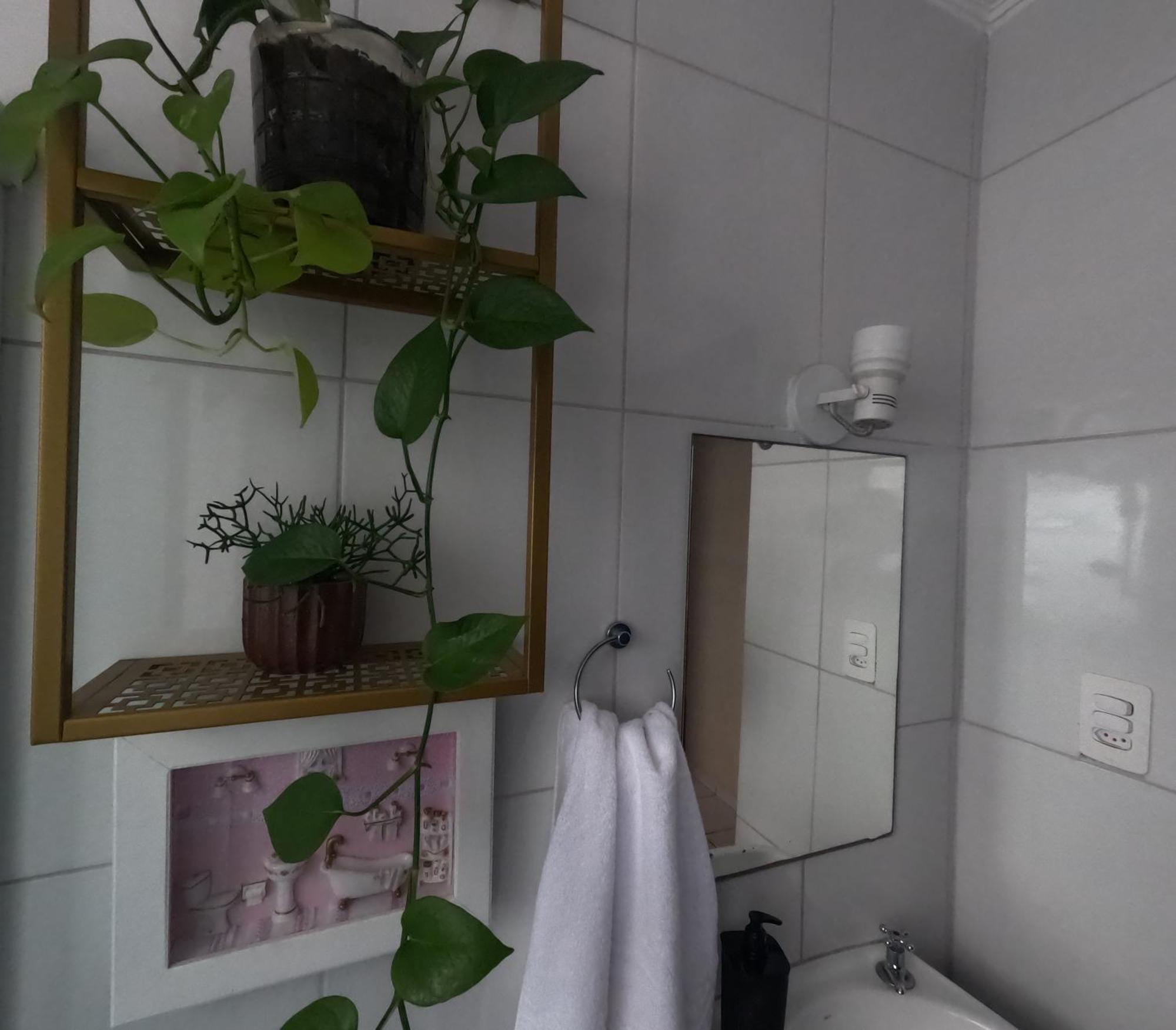 Albergue Star